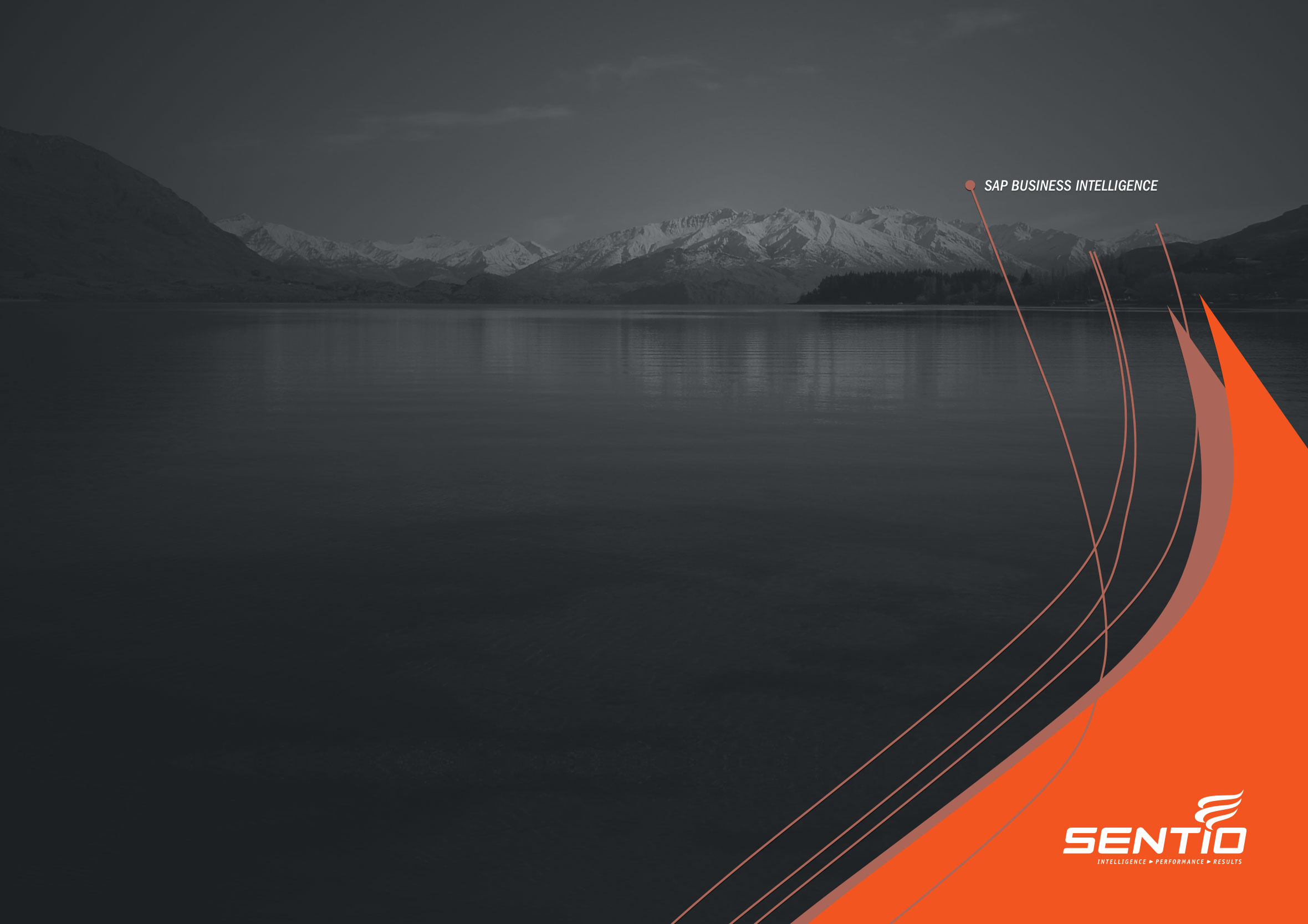 Sentio company overview brochure front