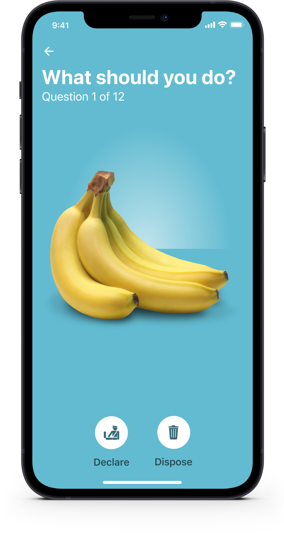 dispose-or-declare-mobile-app-banana